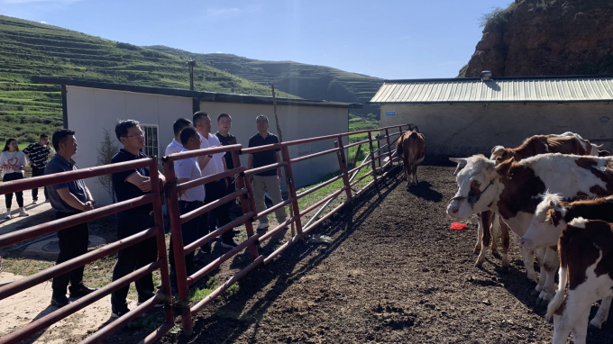 甘肅工程咨詢集團黨委書記、董事長宋忠慶一行赴卓尼縣柳林鎮幫扶村調研慰問